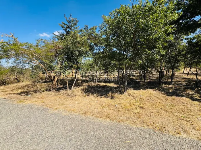 Residential Stand for Sale in Arlington, Harare