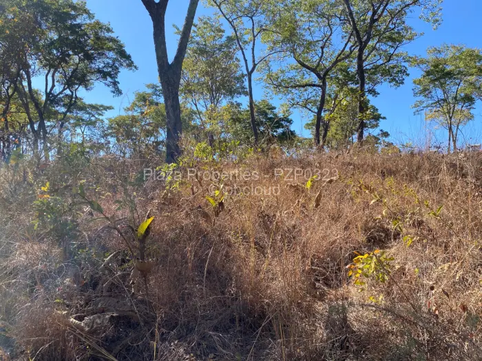 Residential Stand for Sale in Carrick Creagh Estate, Harare
