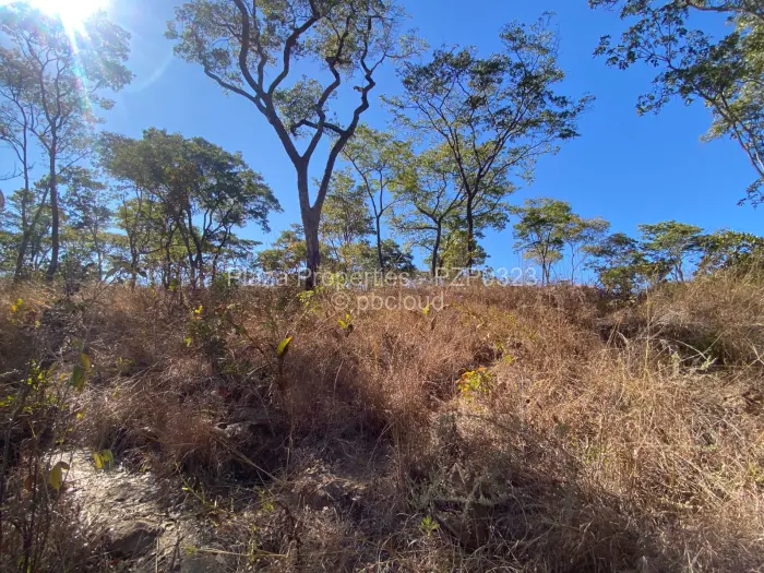 Residential Stand for Sale in Carrick Creagh Estate, Harare