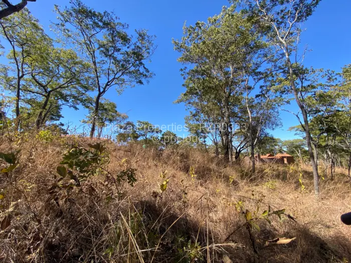 Residential Stand for Sale in Carrick Creagh Estate, Harare