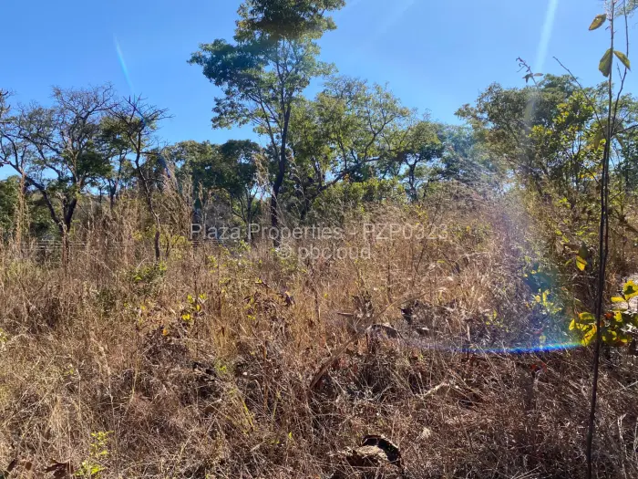 Residential Stand for Sale in Carrick Creagh Estate, Harare