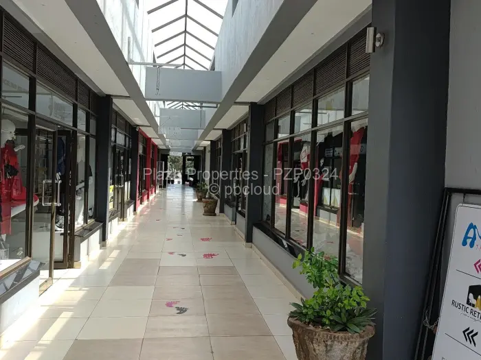 Commercial Property to Rent in Avondale