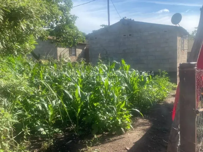 1 Bedroom Cottage/Garden Flat for Sale in Norton, Norton