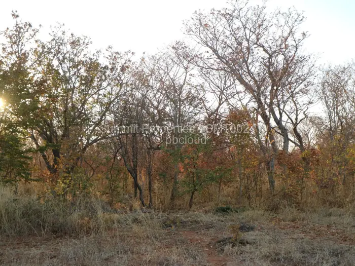 Land for Sale in Victoria Falls, Victoria Falls