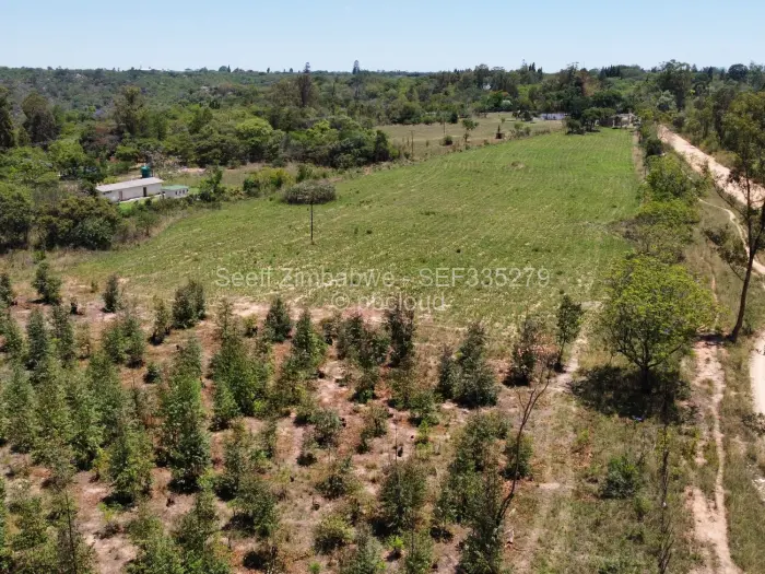 Farm/Plot for Sale in Arcturus, Arcturus