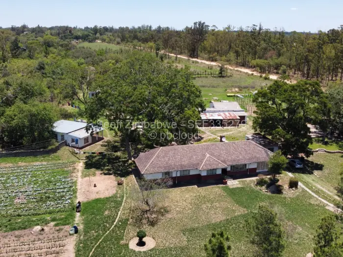 Farm/Plot for Sale in Arcturus, Arcturus