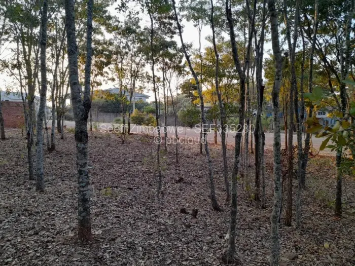 Residential Stand for Sale in Hogerty Hill, Harare