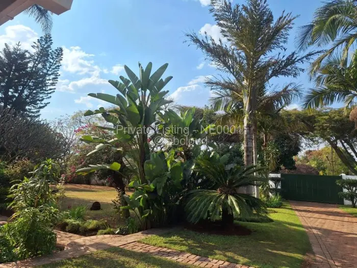 4 Bedroom House to Rent in Alexandra Park