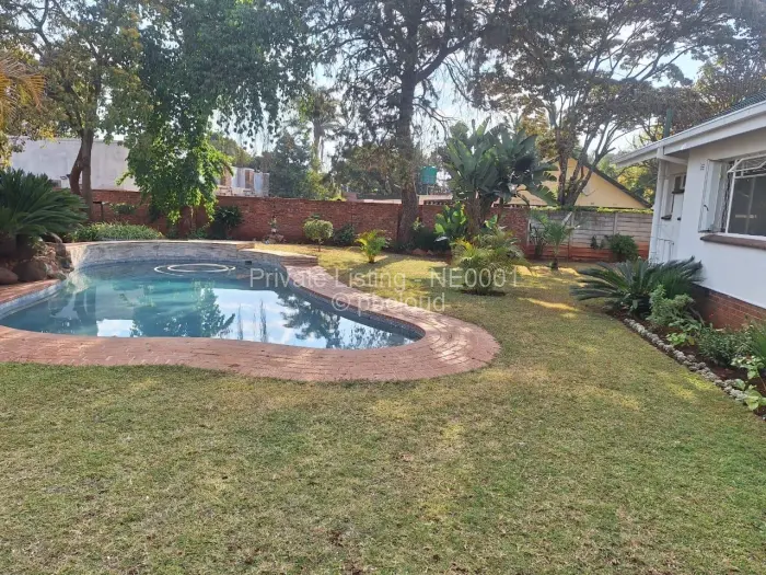 4 Bedroom House to Rent in Alexandra Park