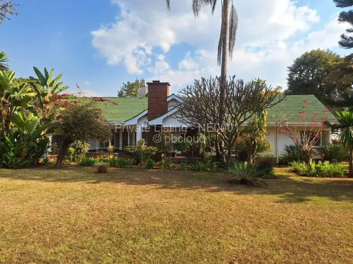 4 Bedroom House to Rent in Alexandra Park