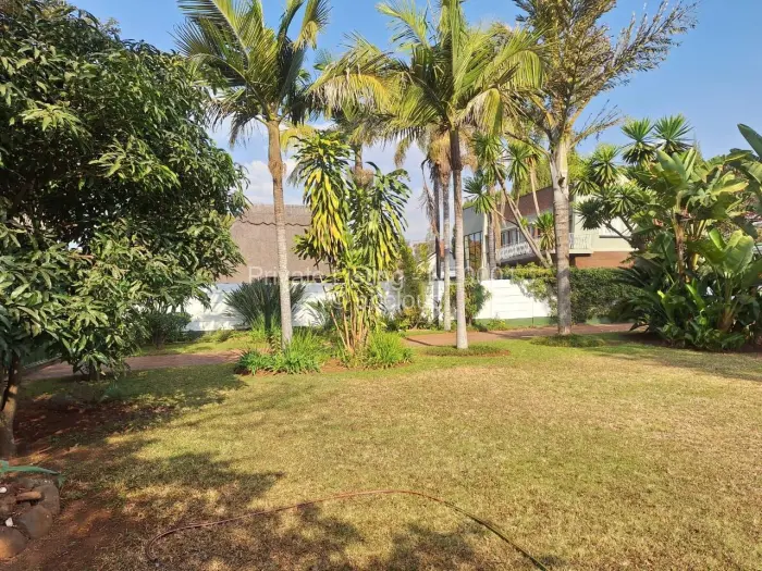 4 Bedroom House to Rent in Alexandra Park