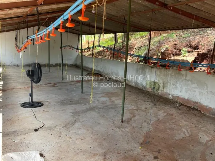 Land for Sale in Cromlet, Arcturus