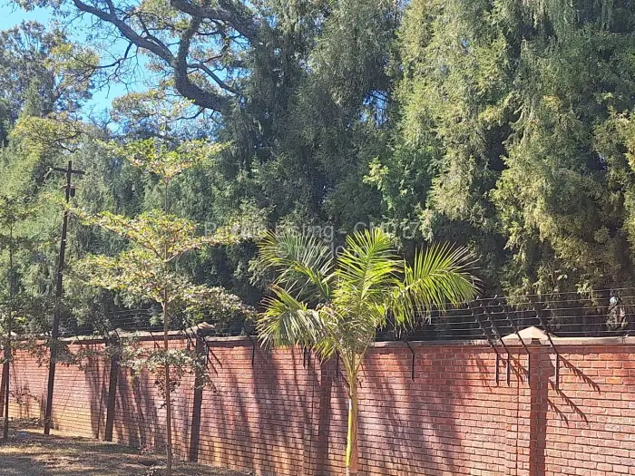 4 Bedroom House to Rent in Newlands