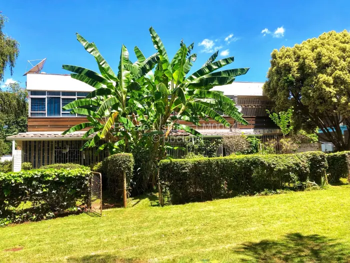 2 Bedroom Cottage/Garden Flat to Rent in Avondale