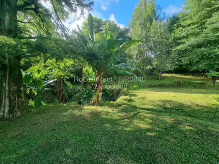 Farm/Plot for Sale in Juliasdale, Juliasdale