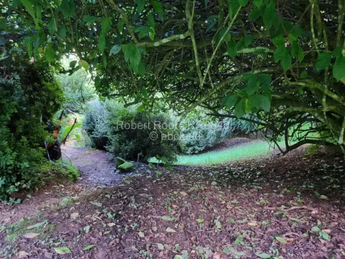 Farm/Plot for Sale in Juliasdale, Juliasdale