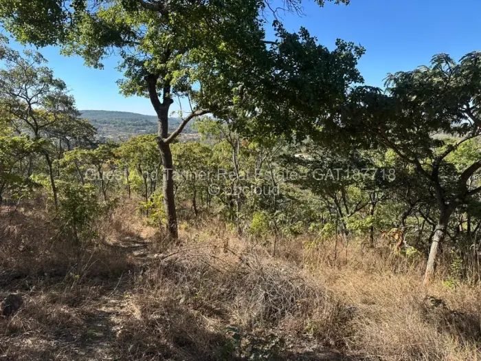Land for Sale in Glen Lorne