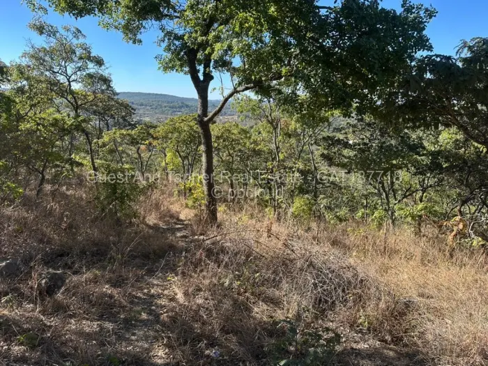 Farm/Plot for Sale in Umwinsidale, Harare