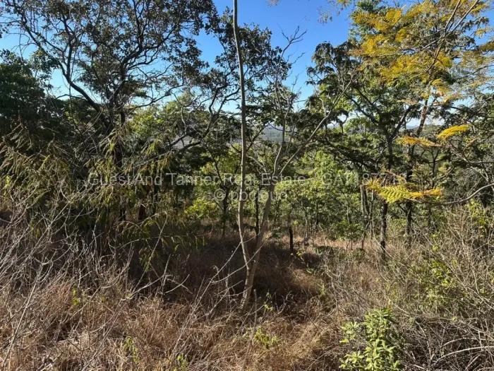 Farm/Plot for Sale in Umwinsidale, Harare
