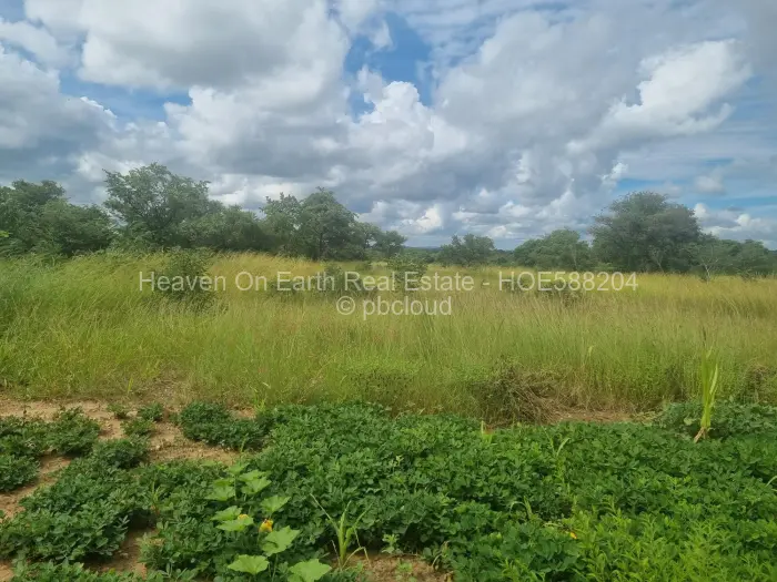 Farm/Plot for Sale in Beatrice, Beatrice