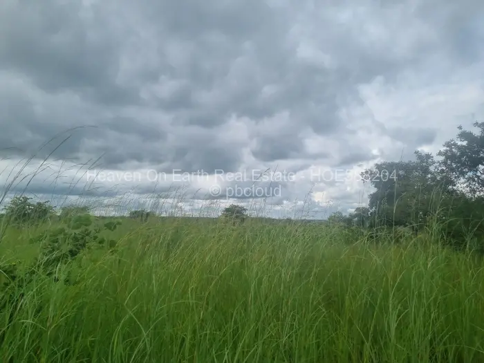 Farm/Plot for Sale in Beatrice, Beatrice