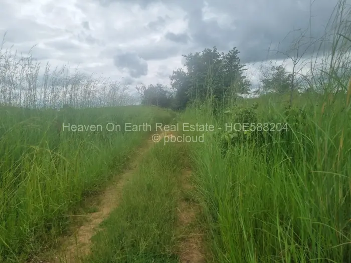 Farm/Plot for Sale in Beatrice, Beatrice