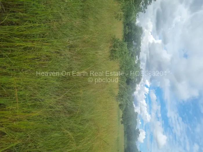 Farm/Plot for Sale in Beatrice, Beatrice