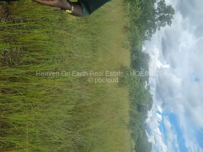 Farm/Plot for Sale in Beatrice, Beatrice