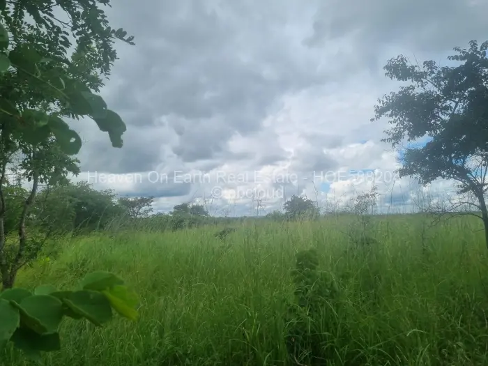 Farm/Plot for Sale in Beatrice, Beatrice