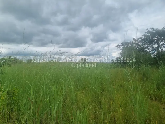 Farm/Plot for Sale in Beatrice, Beatrice