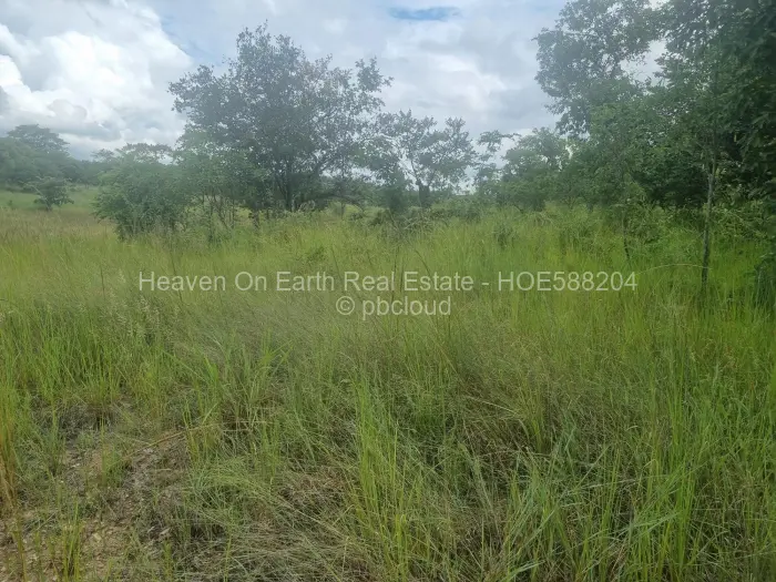 Farm/Plot for Sale in Beatrice, Beatrice