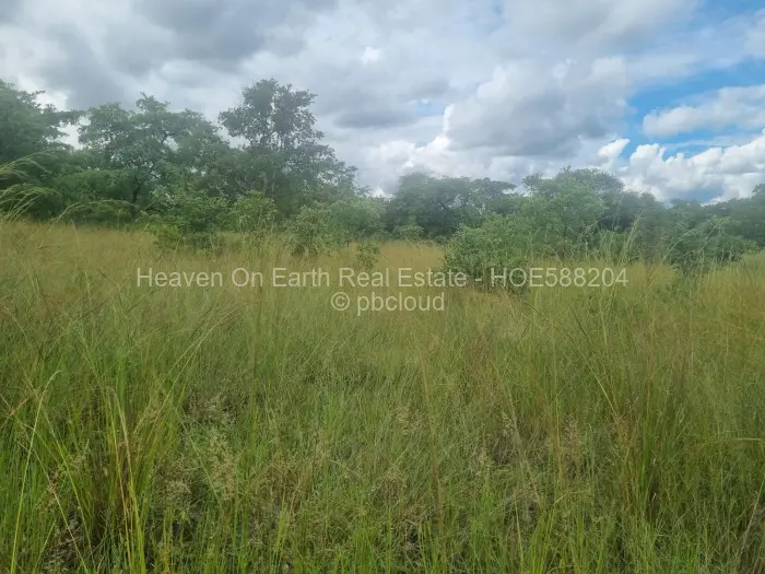 Farm/Plot for Sale in Beatrice, Beatrice