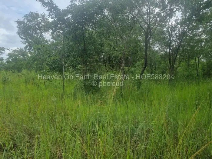 Farm/Plot for Sale in Beatrice, Beatrice