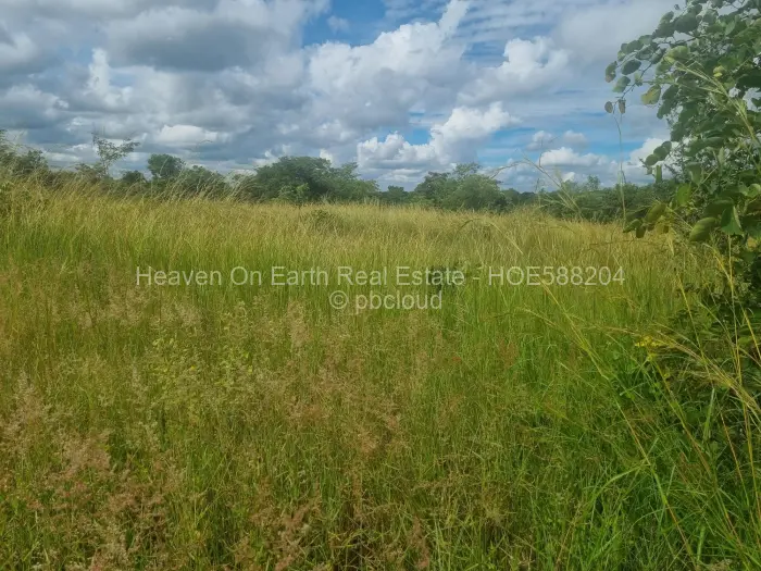 Farm/Plot for Sale in Beatrice, Beatrice