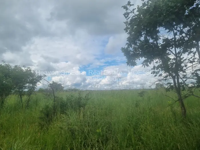 Farm/Plot for Sale in Beatrice, Beatrice