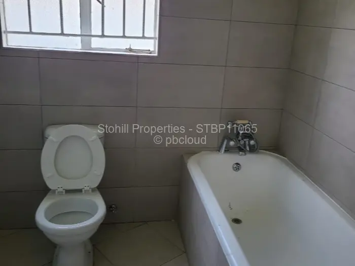 Commercial Property to Rent in Avondale