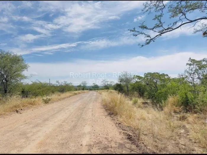 Stand for Sale in Victoria Falls, Victoria Falls