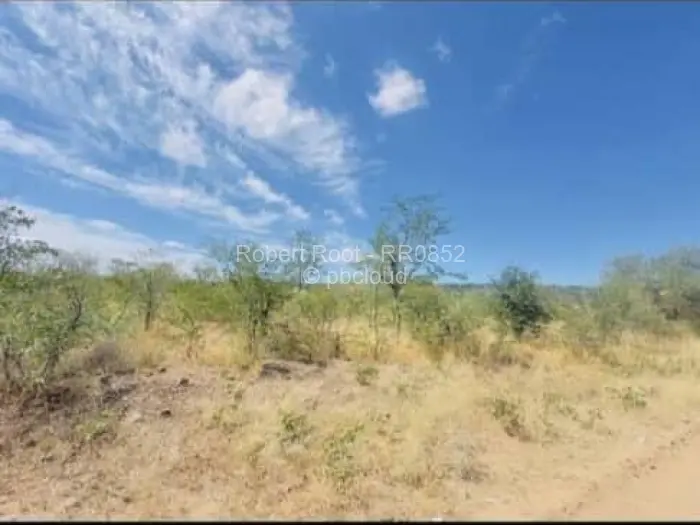 Stand for Sale in Victoria Falls, Victoria Falls