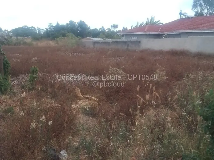 Stand for Sale in Chipukutu Park