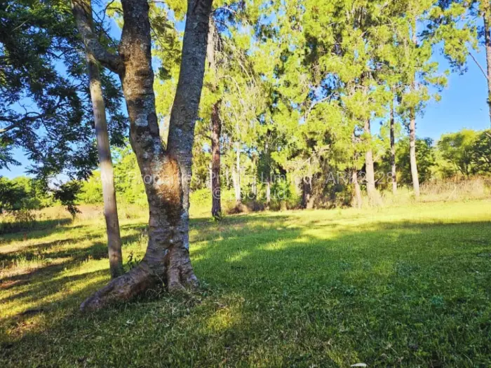 4 Bedroom Cottage/Garden Flat to Rent in Borrowdale, Harare