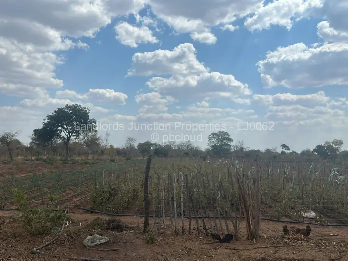 Farm/Plot for Sale in Insiza, Insiza