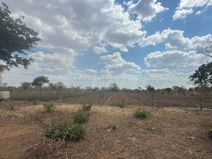 Farm/Plot for Sale in Insiza, Insiza