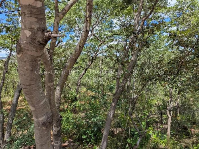 Residential Stand for Sale in Christon Bank, Christon Bank