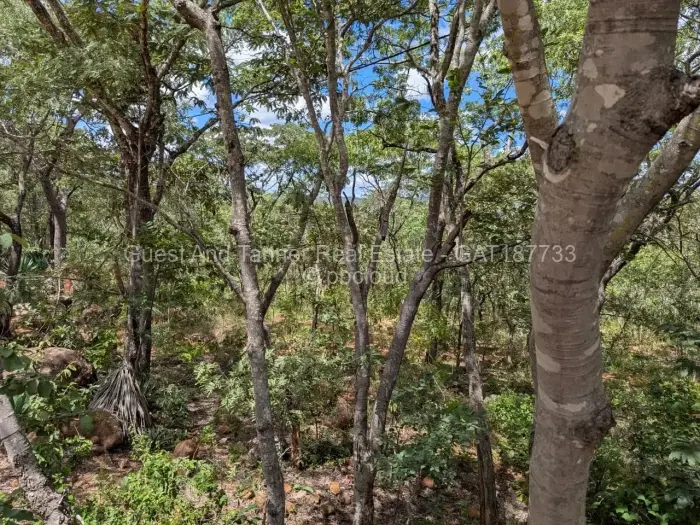 Residential Stand for Sale in Christon Bank, Christon Bank