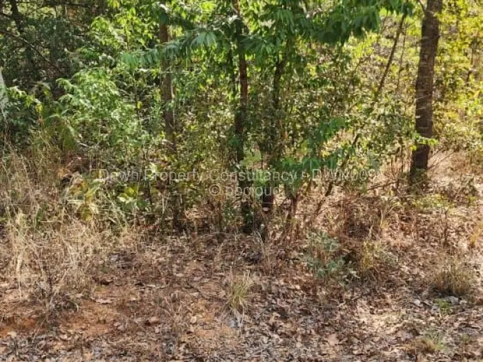 Residential Stand for Sale in Ruwa, Ruwa