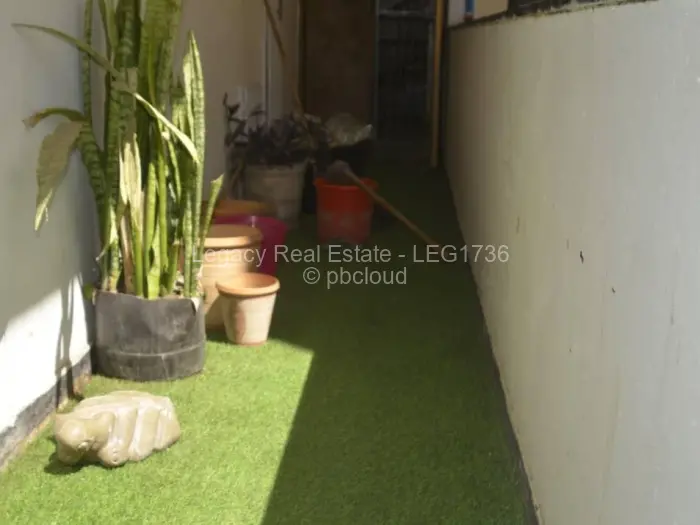 Flat/Apartment to Rent in Avenues