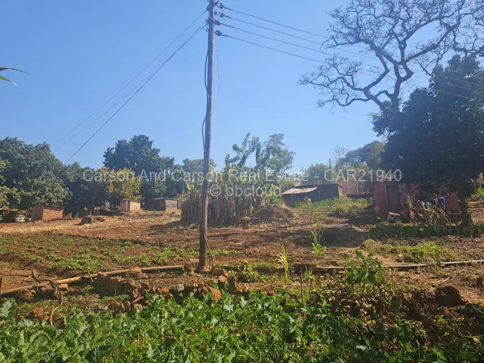Residential Stand for Sale in Borrowdale, Harare