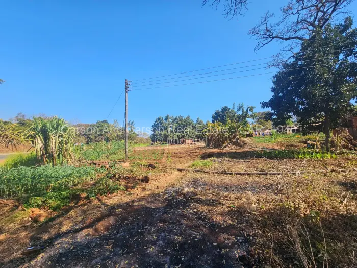 Residential Stand for Sale in Borrowdale, Harare