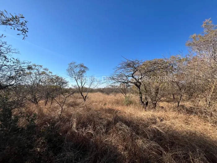 Farm/Plot for Sale in Burnside, Bulawayo