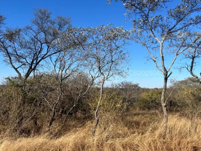 Farm/Plot for Sale in Burnside, Bulawayo